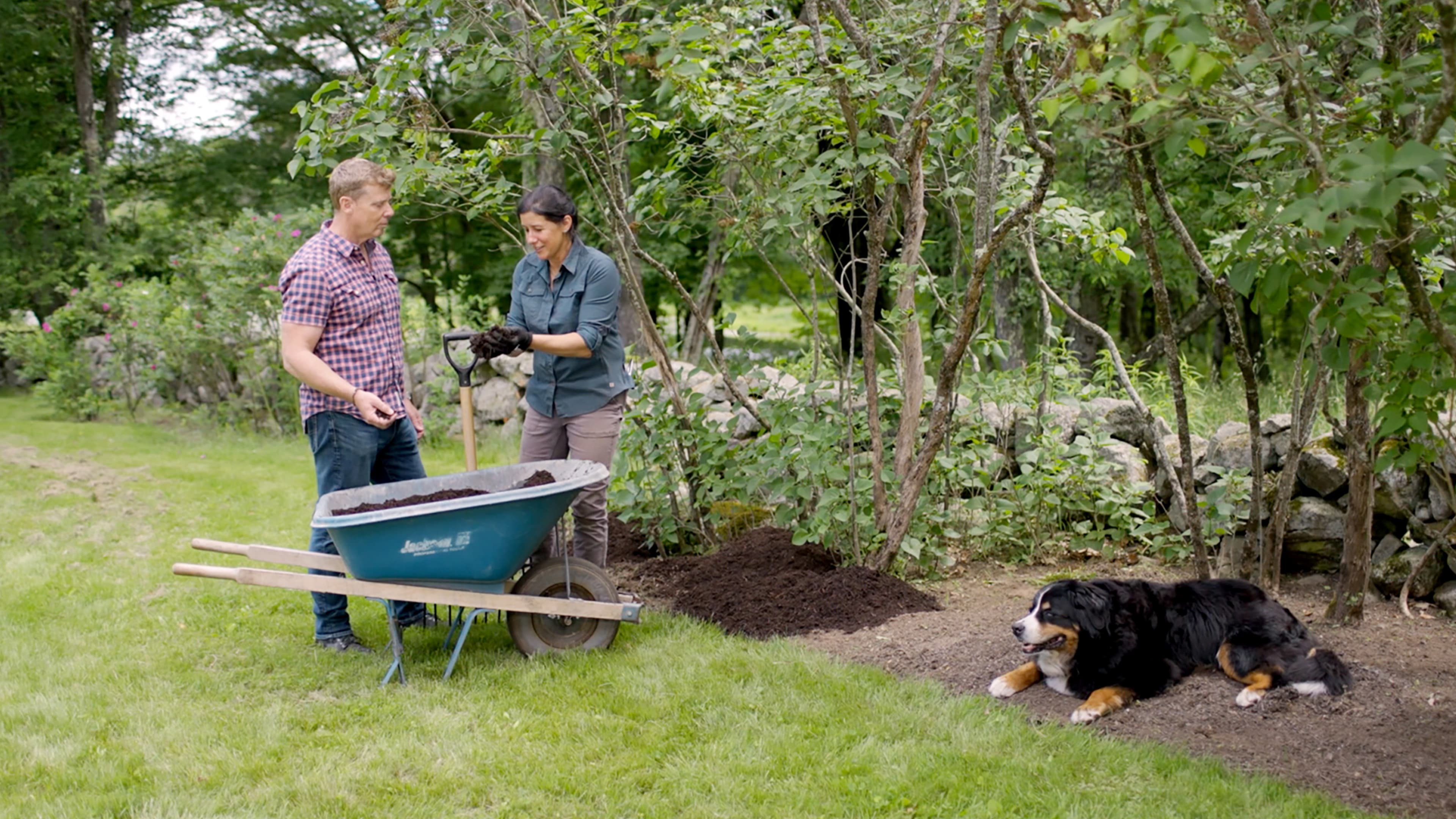 What to Know About Mulch